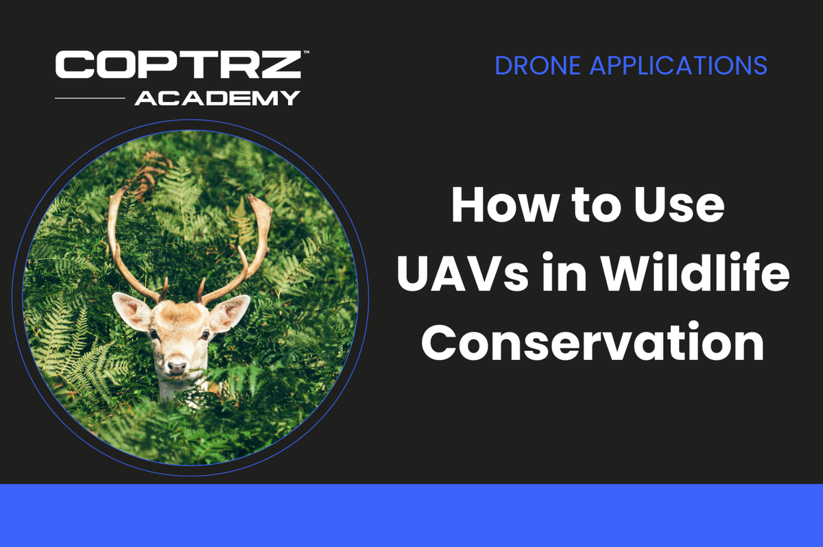 Coptrz Academy banner for online course about learning how to use UAVs in wildlife conservation