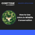 How to use UAVs in wildlife conservation