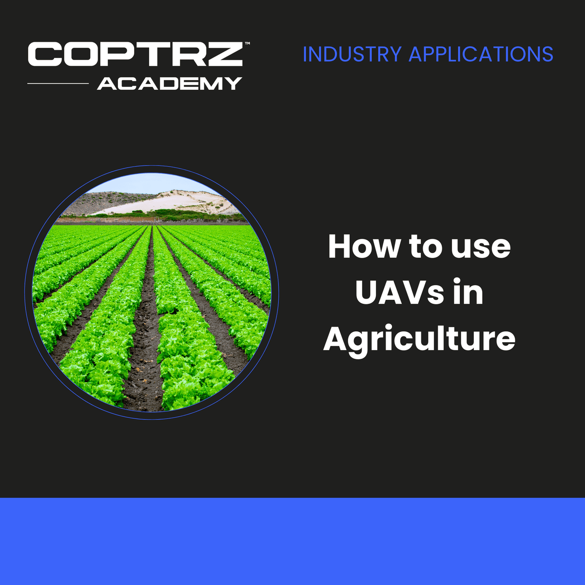 How to use UAVs in agriculture