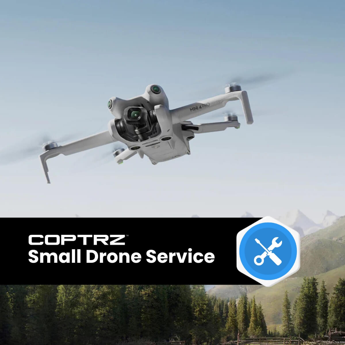 Small Drone Service